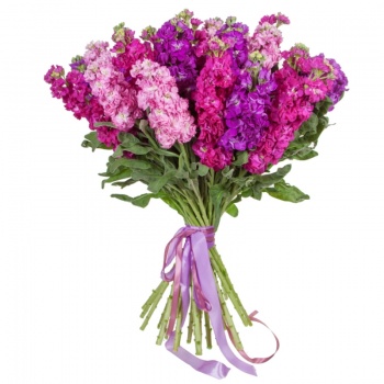 Букет MIX из 27 маттиол